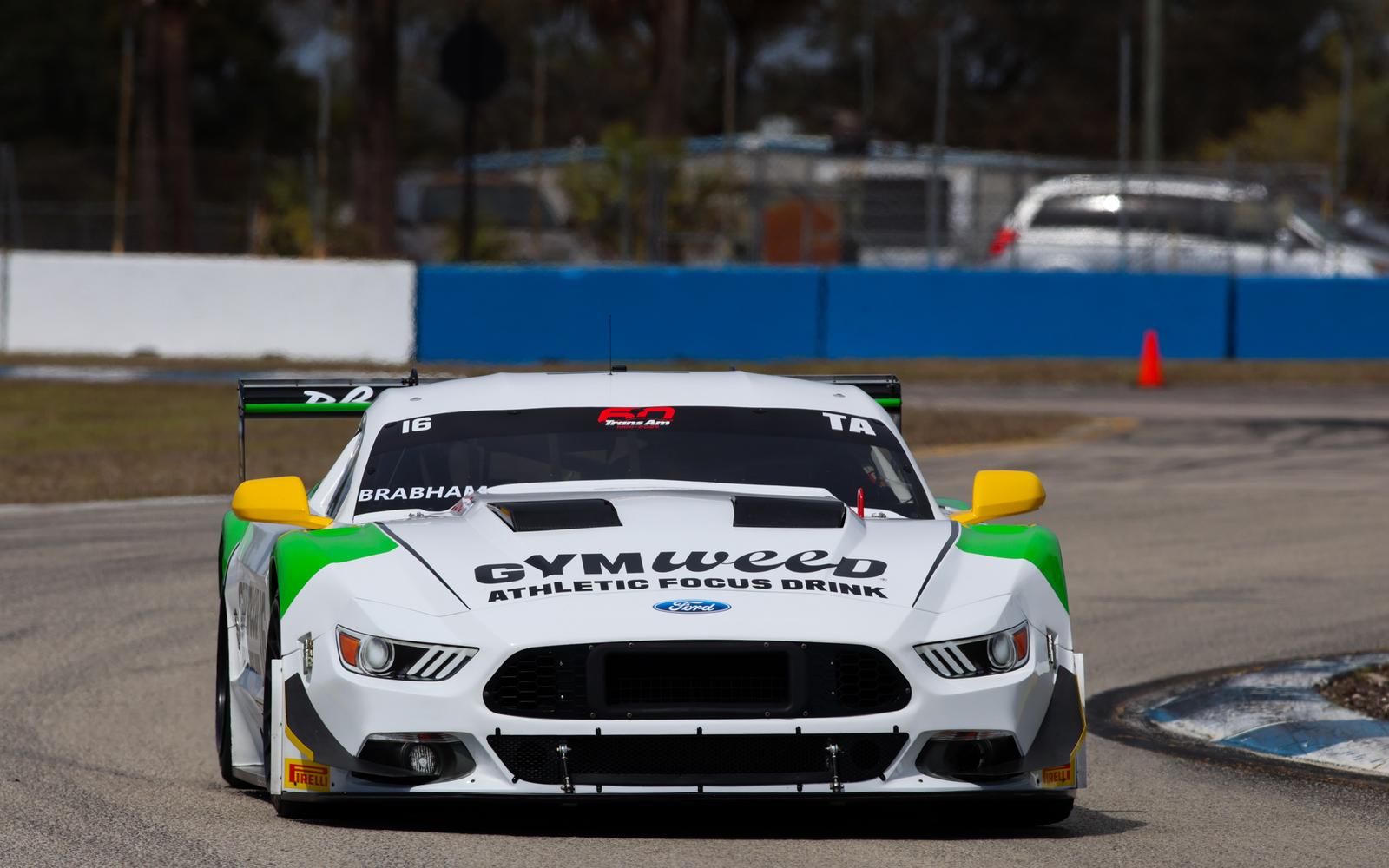TA/GT Qualifying Canceled Due to Weather for Sebring Season Opener, Brabham to Lead Field to Green
